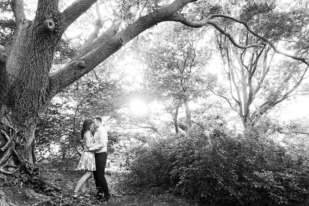 Black and White Photos of Couple by a Tree in the Arnold Arboretum